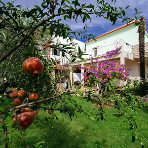 Maslina Apartment